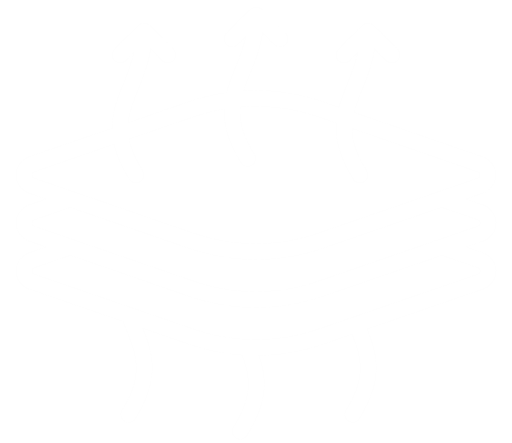 Membrane Icon