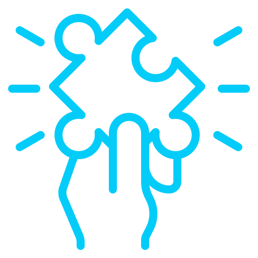solution icon